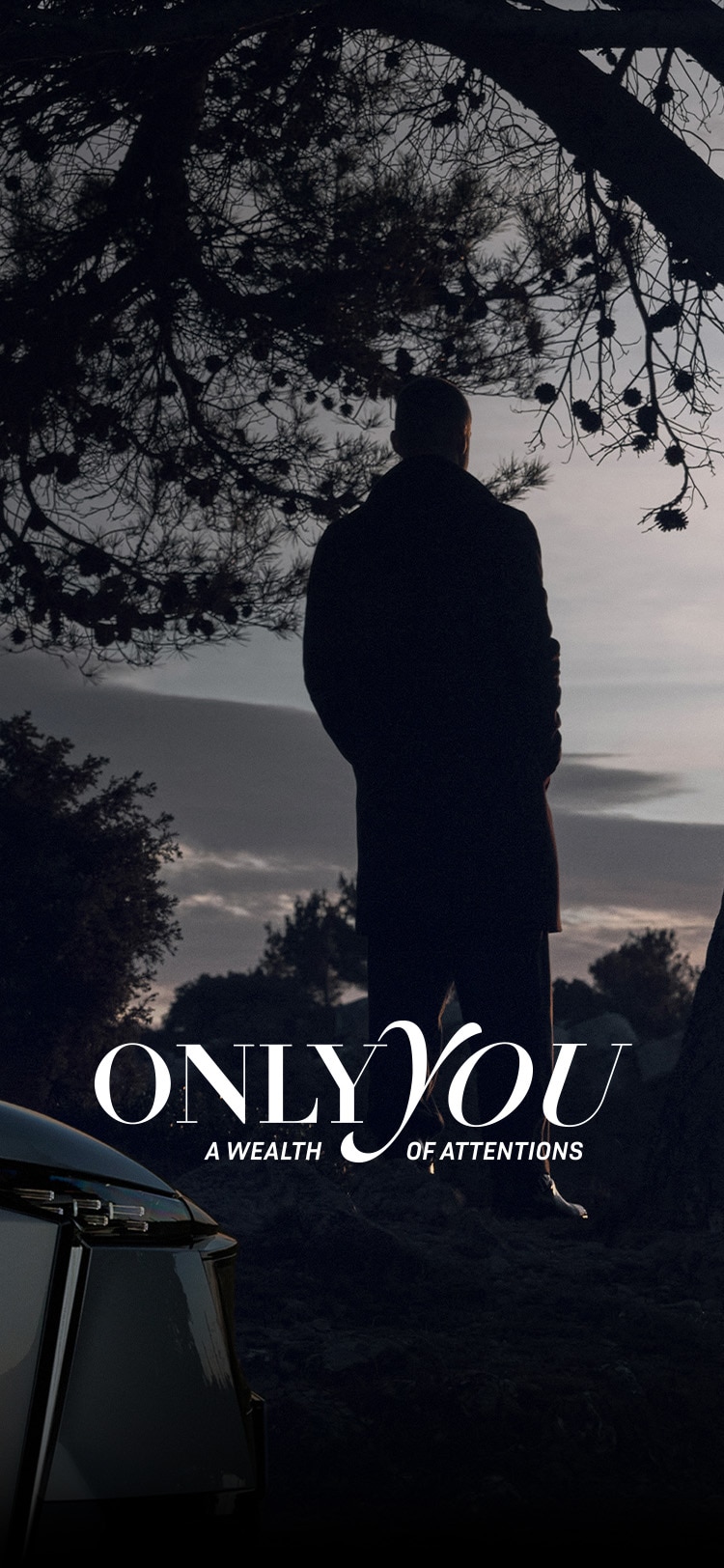 Hybrid, diesel and petrol vehicle maintenance DS maintenance