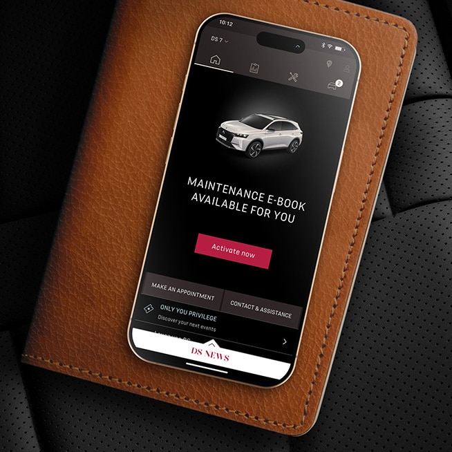 Hybrid, diesel and petrol vehicle maintenance DS maintenance